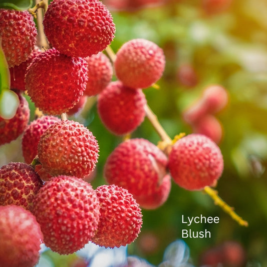 Diffuser_ Lychee Blush 7ML