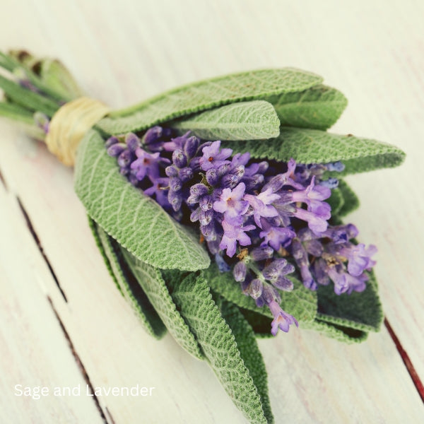 White Sage and Lavender