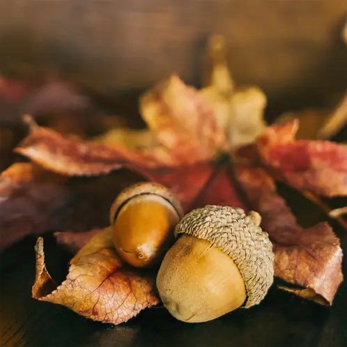 Diffuser_ Maple Leaf And Acorn 8ML