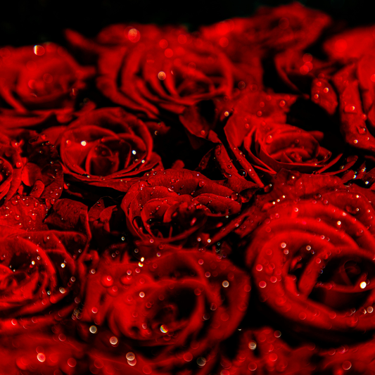 Diffuser_ Rose Garden 8ML